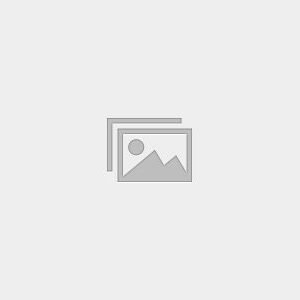mock test 4